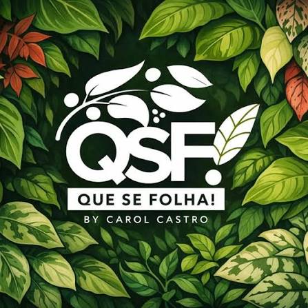 QSF logo